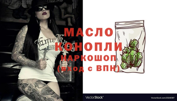 гидра Богородицк