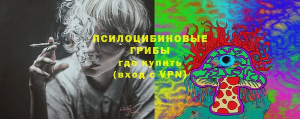 гидра Богородицк