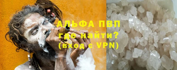 гидра Богородицк