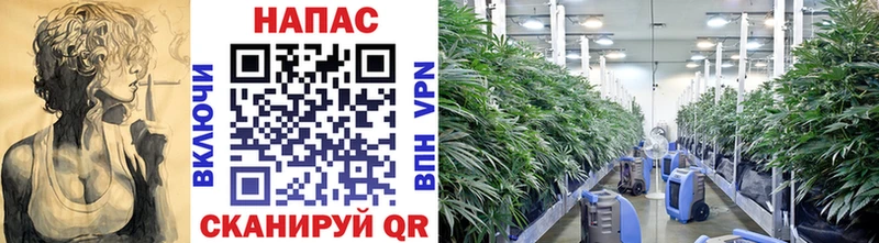 МЕГА маркетплейс  купить закладку  Буинск  площадка состав  Бошки Шишки Bruce Banner 